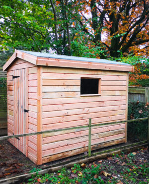 light coloured small wood shed in the corner of a yard with one small window on the side